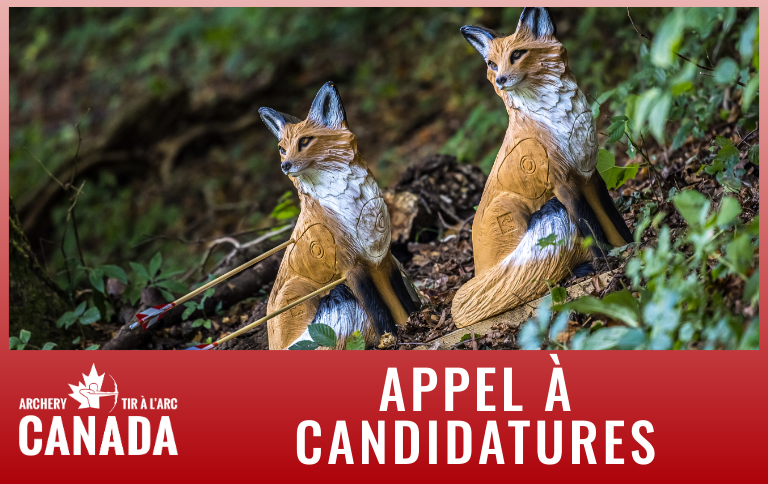 3d : Appel à candidatures pour le personnel d&rsquo;équipe des Championnats du monde 3D 2026